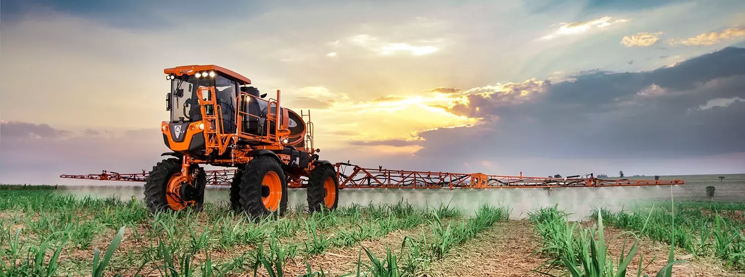 Jacto Uniport 3030 pulverizando canavial ao entardecer